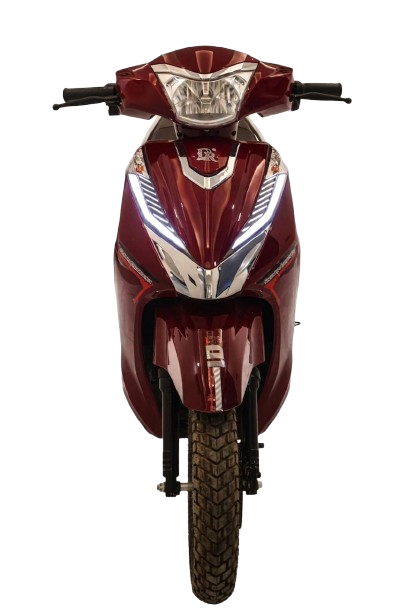 Digiryd Maroon RX