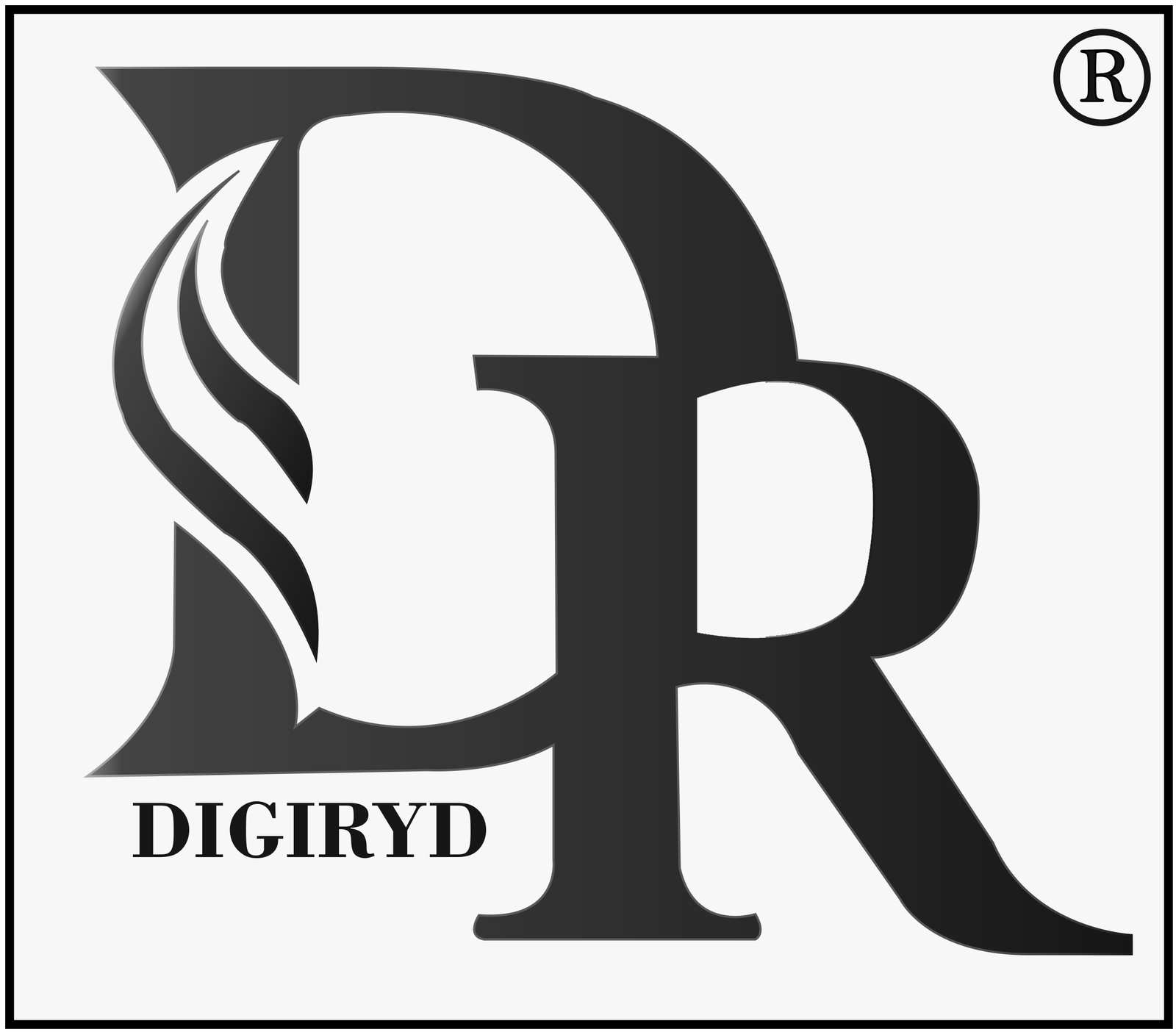 digiryd new logo